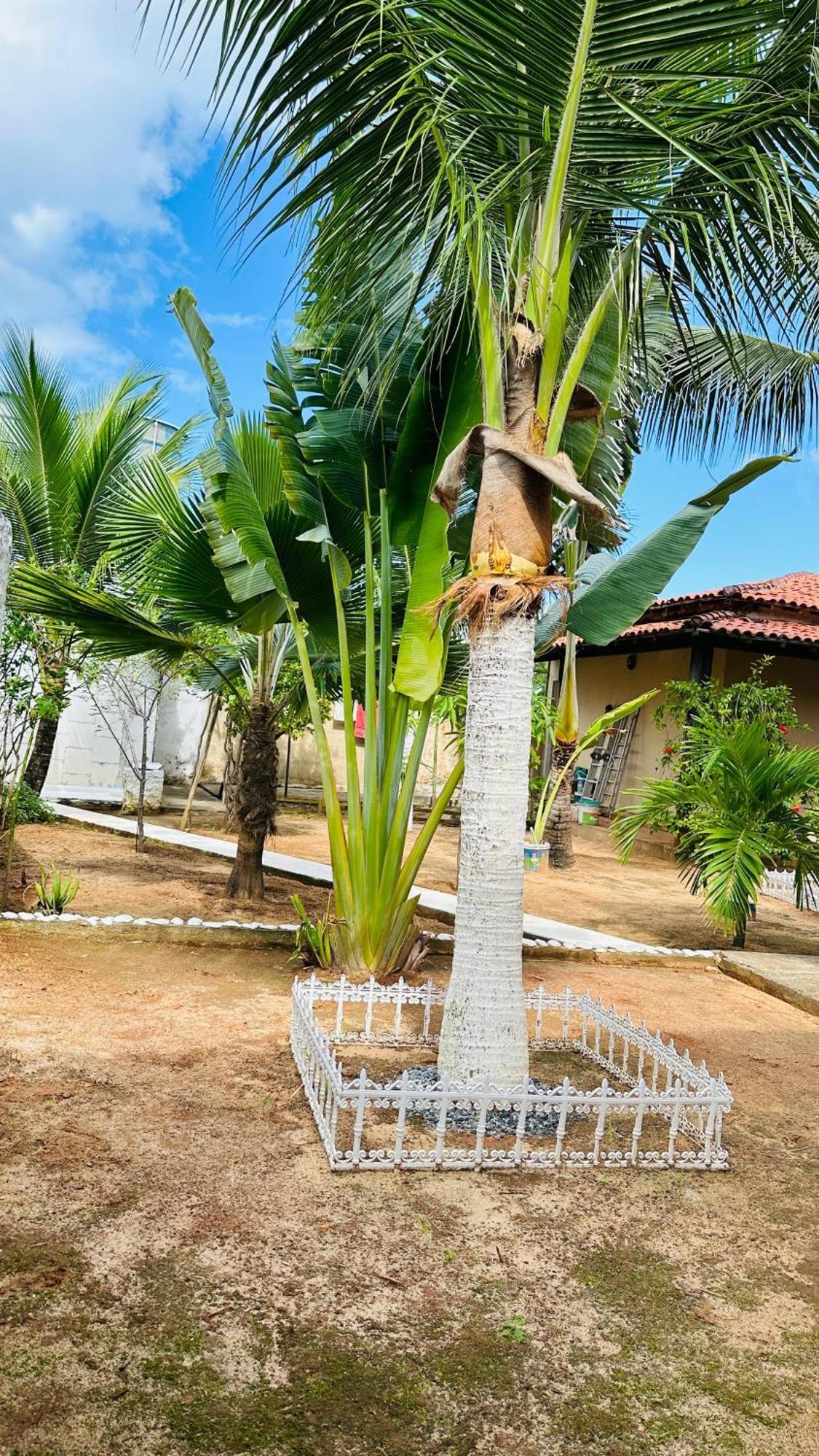 B&B Residencia Casa Branca Sitio Экстерьер фото