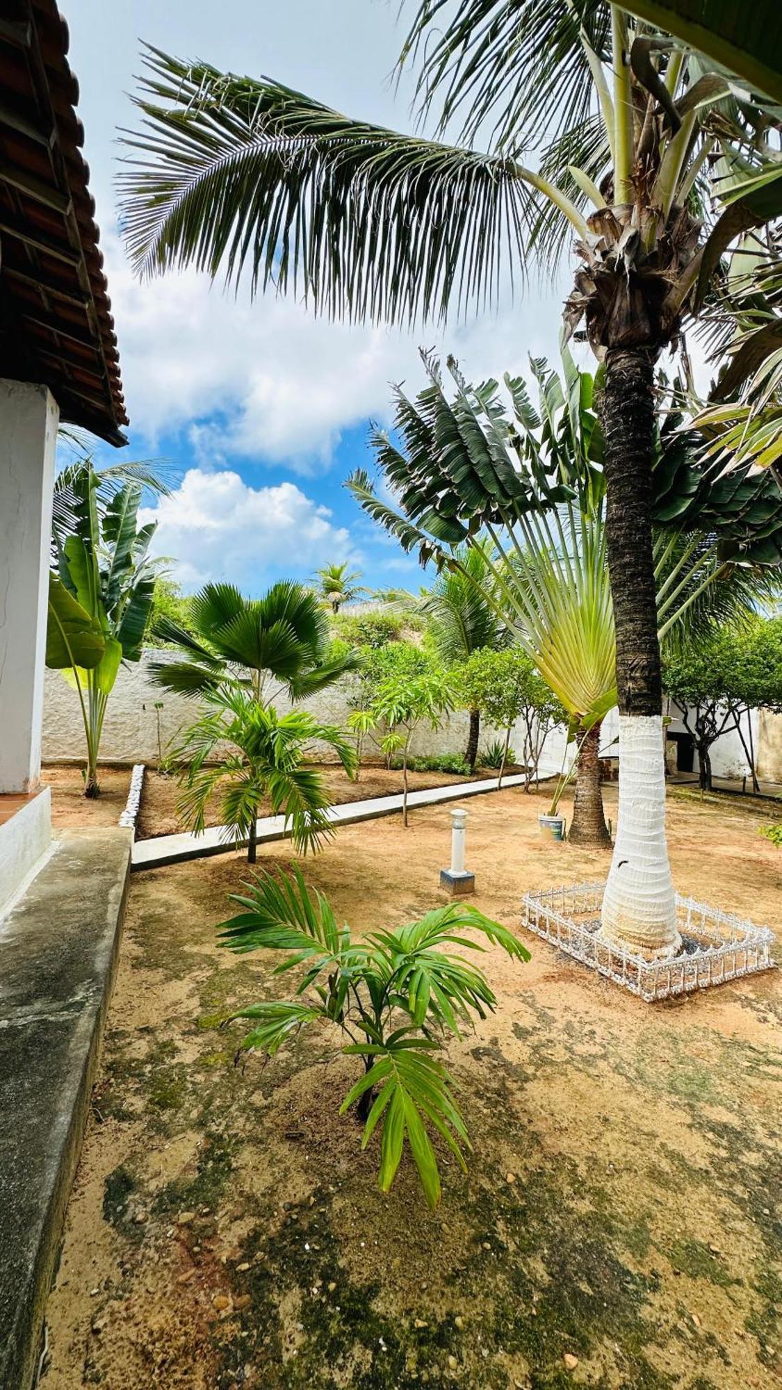 B&B Residencia Casa Branca Sitio Экстерьер фото